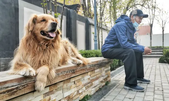 A Man spotted taking a rest in the park with his dog.