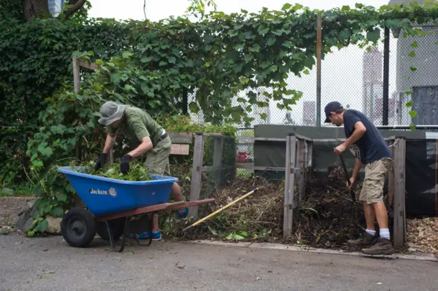 Garden composting has surged in popularity since waste collections were reduced