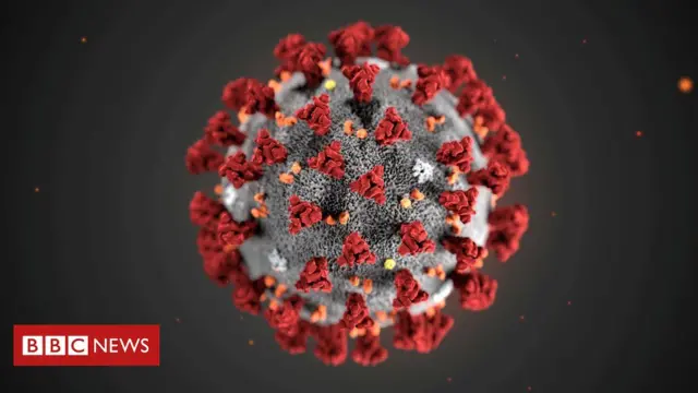 Coronavirus