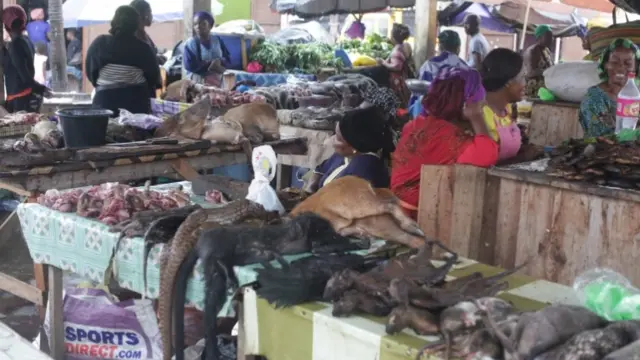 Wildlife market in Gabon