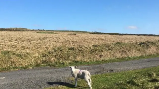 Clee Hill