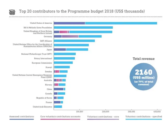 Chart showing contributions to WHO budget