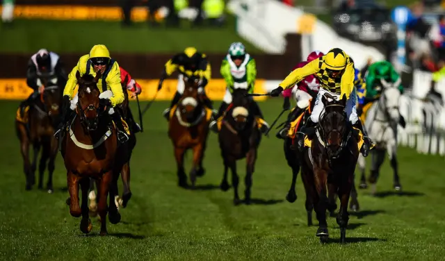 Cheltenham Gold Cup