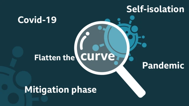 Coronavirus: What do all the terms mean?