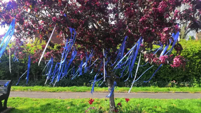 Ribbons on tree