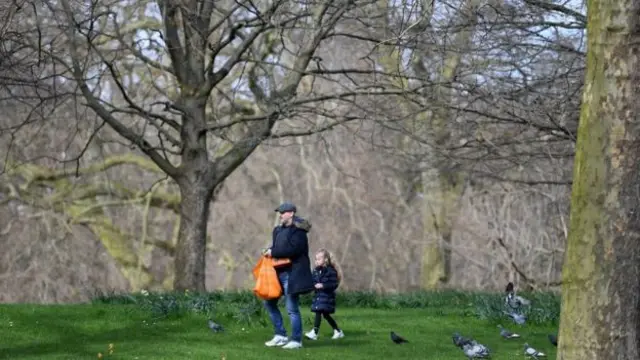 A man and a child walking in a park