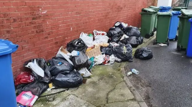 Bin bags in street