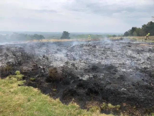 Ashdown Forest fire