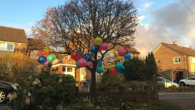 The colourful tree