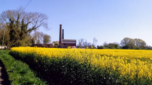 Field in Misterton