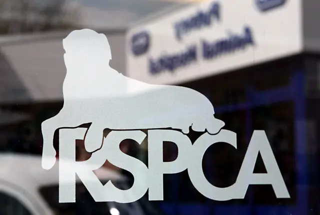 The RSPCA