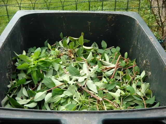 Garden waste