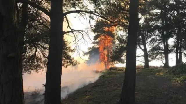 Cannock Chase fire