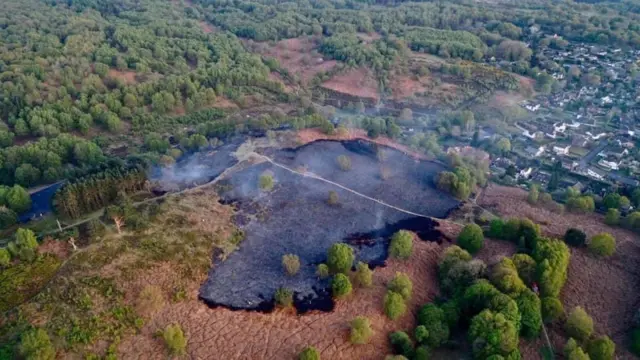 Cannock Chase fire