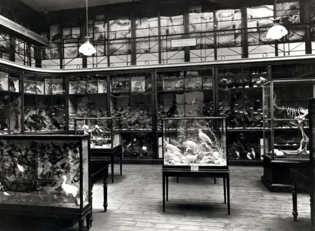 An old picture of Leeds Museum