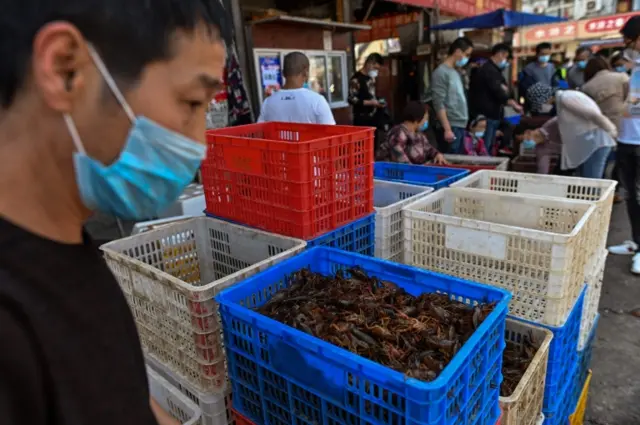 Most "wet markets", such as this one selling prawns in Wuhan, do not sell wildlife