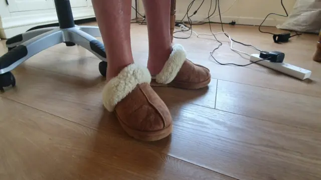 South East Cornwall MP Sheryll Murray