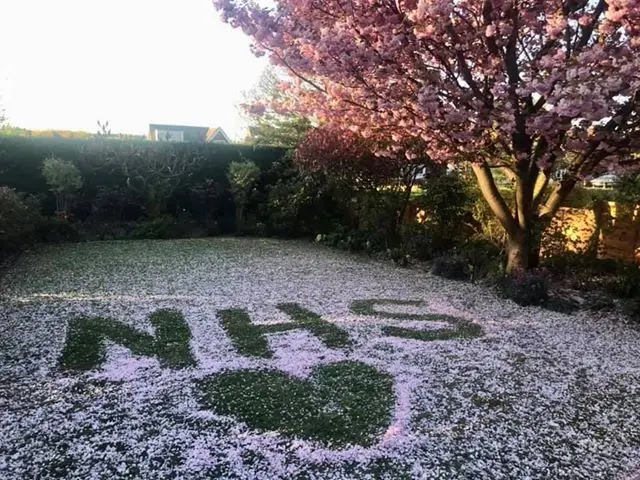 NHS cherry blossom tribute