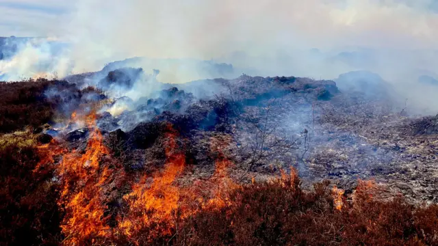 Moorland fire