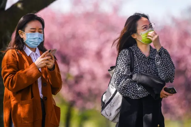 Two women in face masks look at the cherry blossom in Edinburgh's Meadows