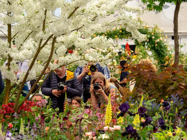 Chelsea Flower Show