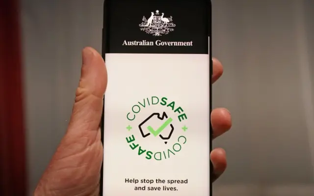 CovidSafe app displayed on phone