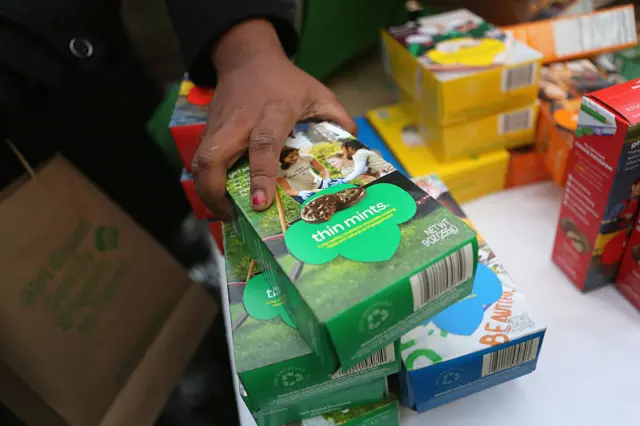 File photo of Girl Scouts selling cookies