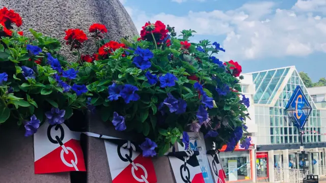 Flowers from last year's display in Halesowen