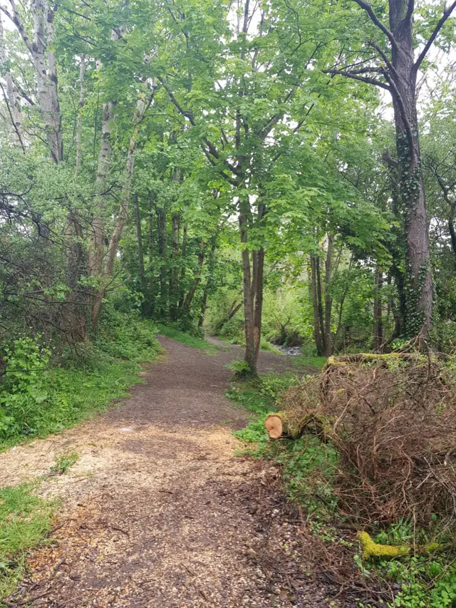 Stoney Lane in Llanybydder