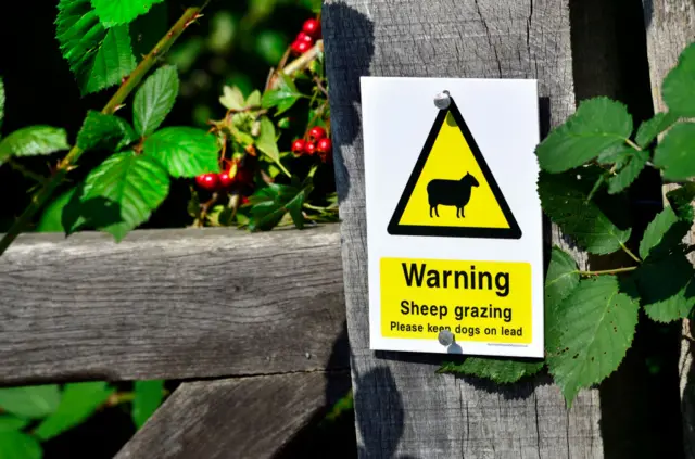 sheep grazing sign