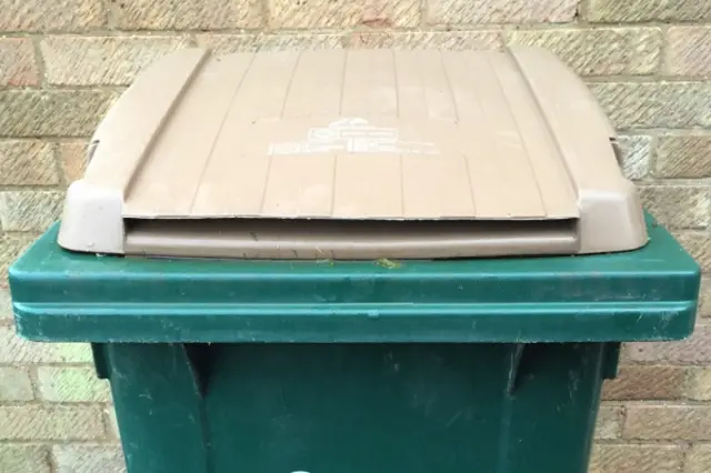 Brown-lidded bin