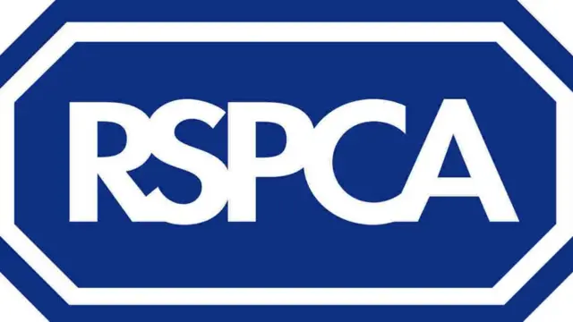 RSPCA logo