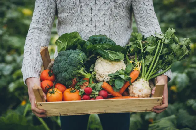 vegetable box