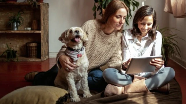 Couple at home with dog