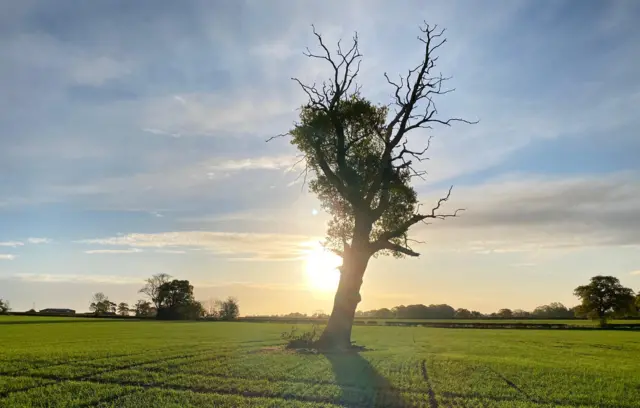 Sunrise in Church Broughton