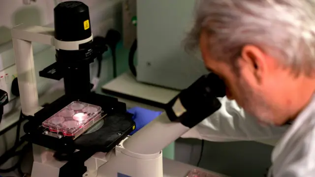 A UK research lab working on a vaccine