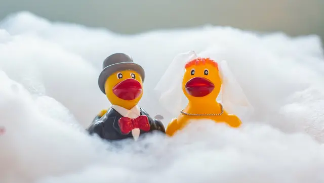 Duck wedding