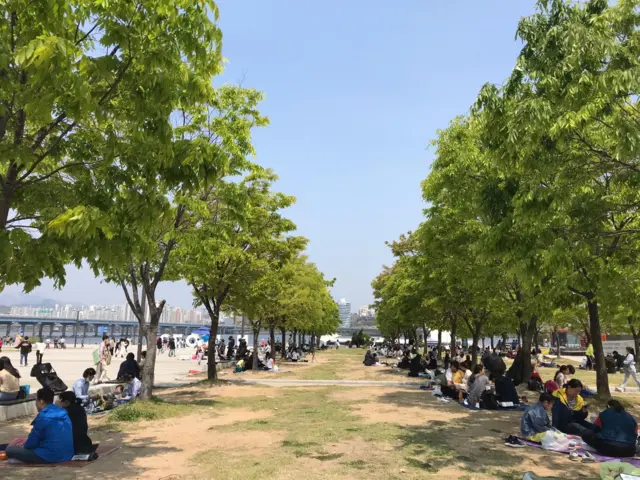 People enjoy the sunshine by the Han River