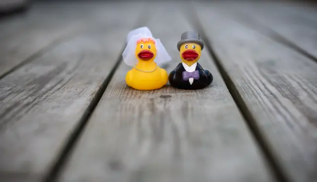 Mrs Duck and her father