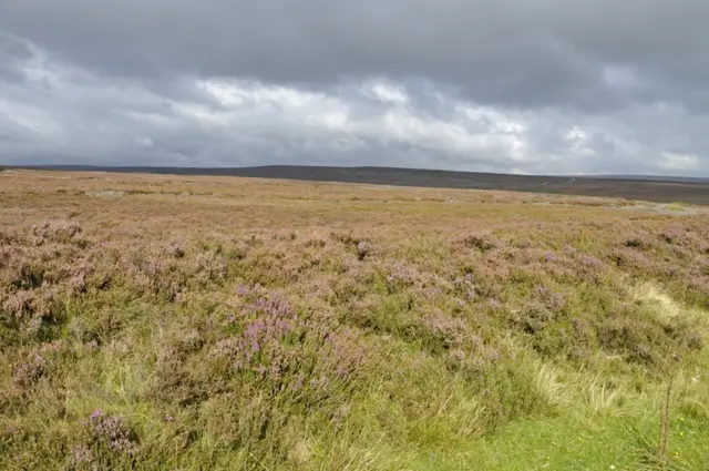 North York Moors