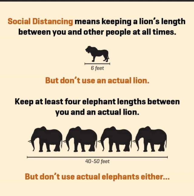 A graphic in Kenya encourages people to stay the distance of one lion away from others