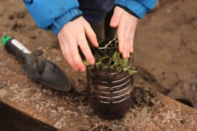 Generic of a child's hands in a garden