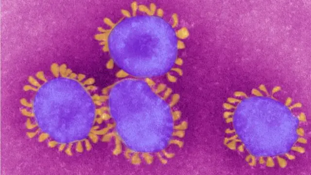 Coronavirus