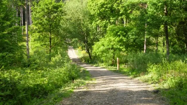 Broxbourne Woods