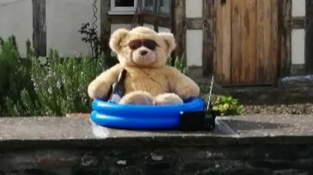 Bear in pool