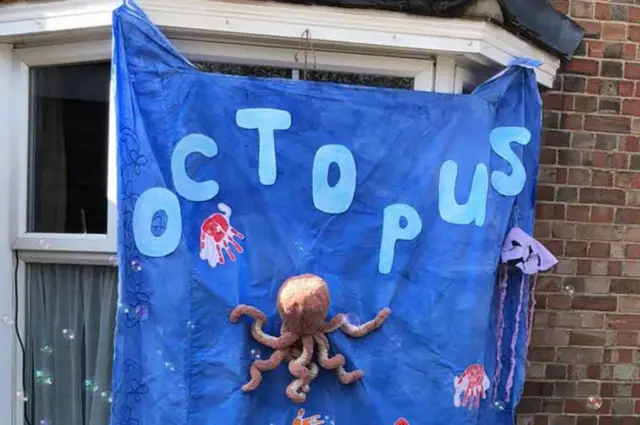 Octopus