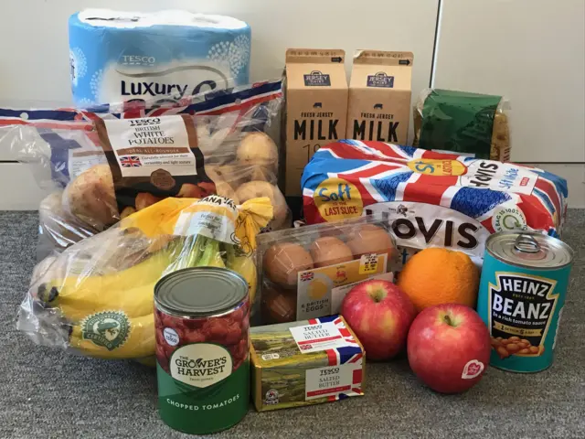 Contents of bag of basics bag on counter