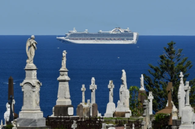 The Ruby Princess seen floating off the coastline from a Sydney cemetery