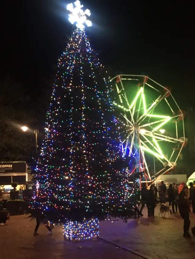 Ely Christmas lights