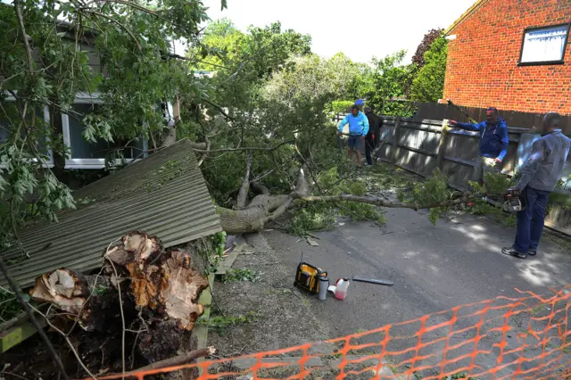 Fallen tree hits Leverstock Green Tennis Club